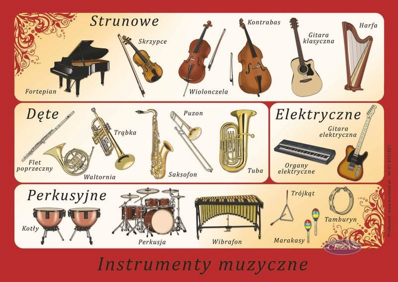 Instrumenty strunowe: wybierz pierwszy model i zacznij grać