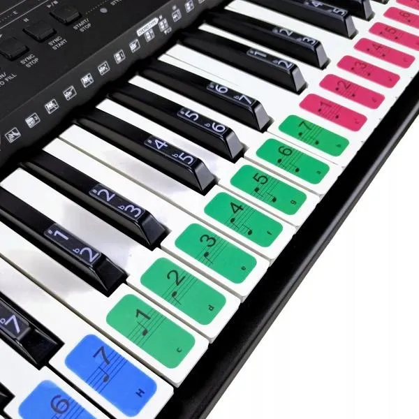 Keyboard czy pianino – poznaj kluczowe różnice i wybierz idealny instrument dla siebie!