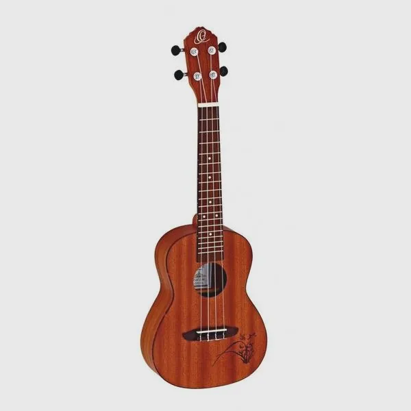 Łatwe piosenki na ukulele: Odkryj 6 hitów i 2-tygodniowy plan nauki