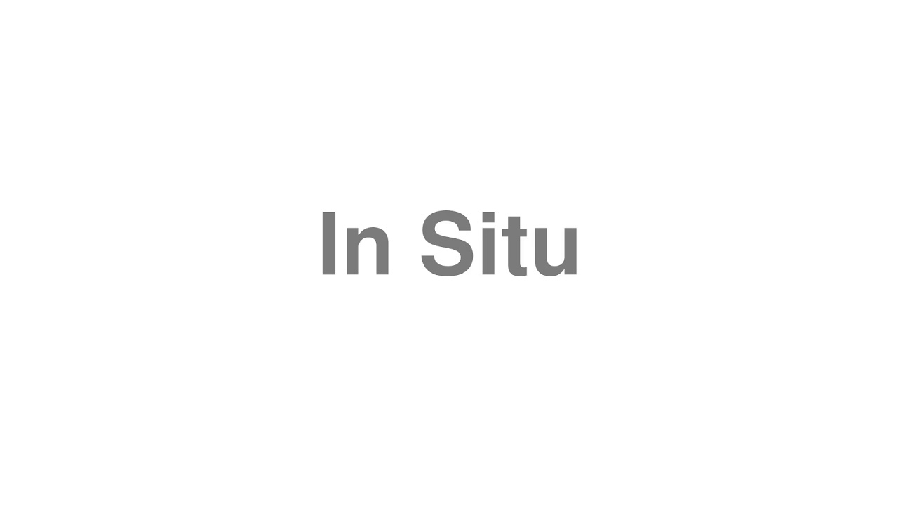 in situ pronunciation