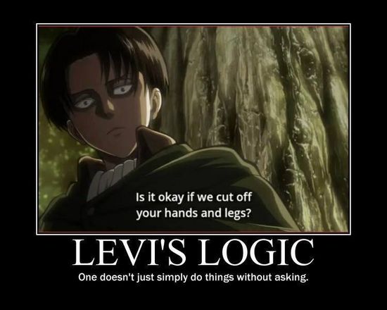 captain levi meme