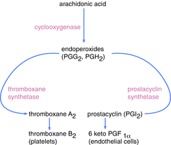 thromboxane