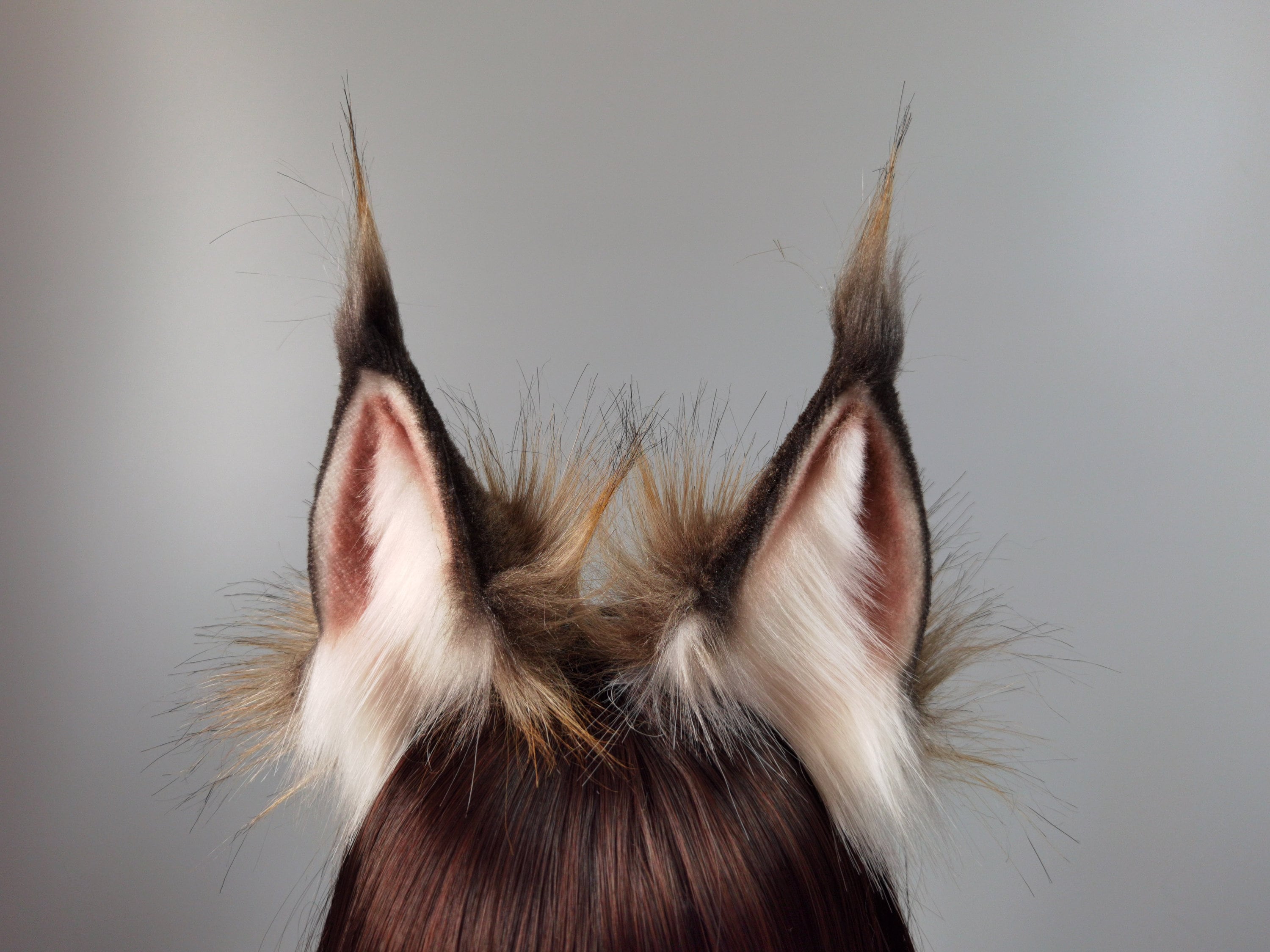 brown wolf ears