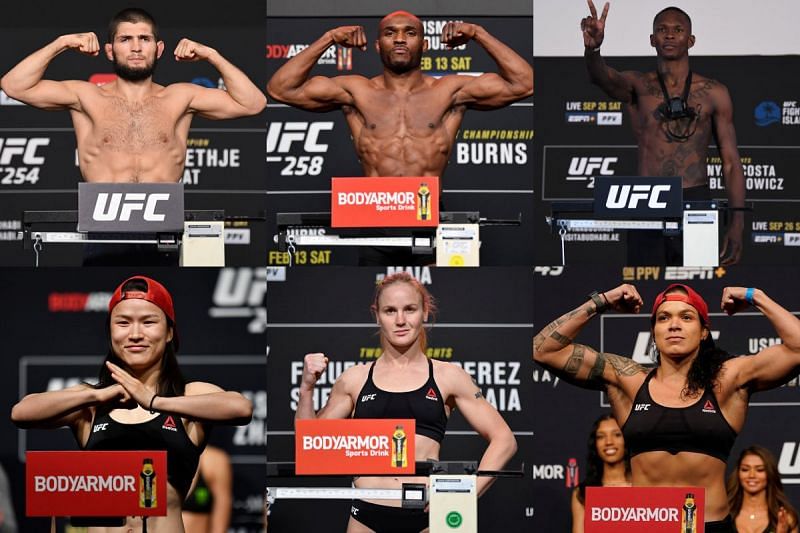 all ufc weight class