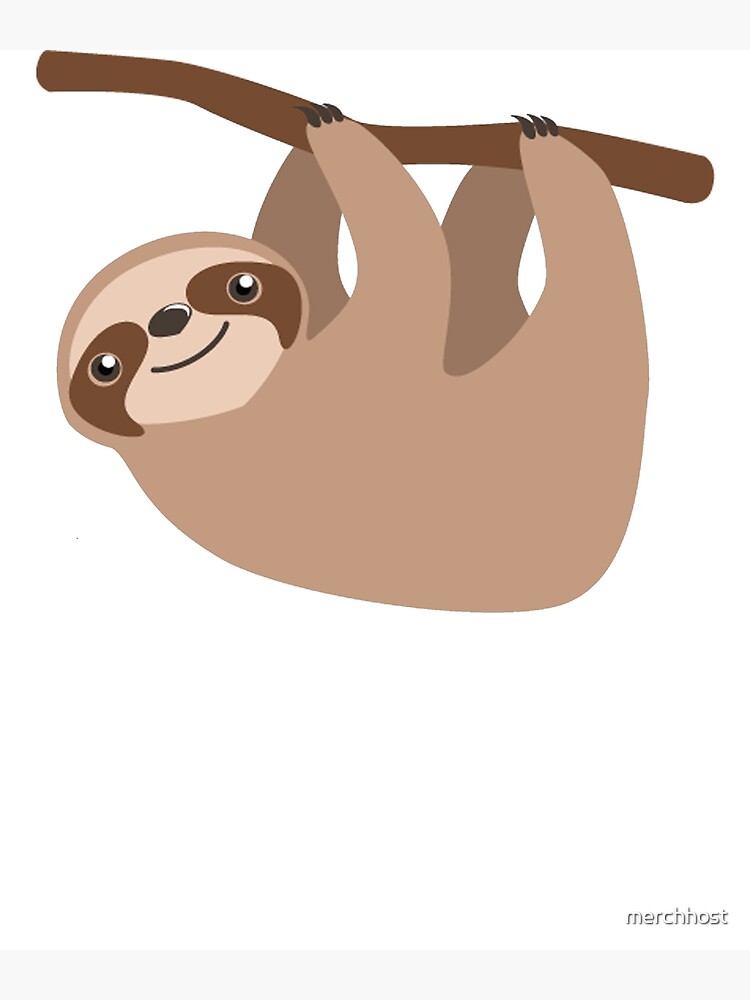 sloth images cartoon