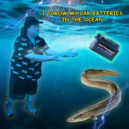 why do people throw car batteries in the ocean