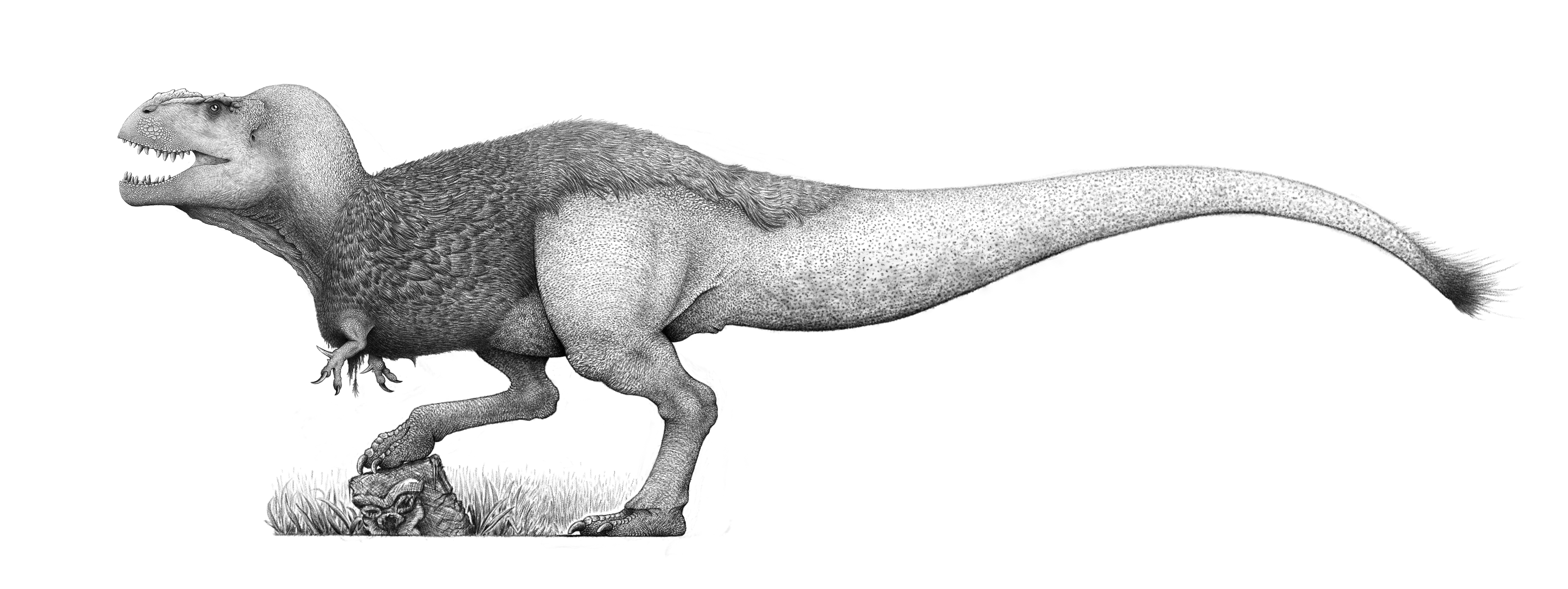 vastatosaurus rex