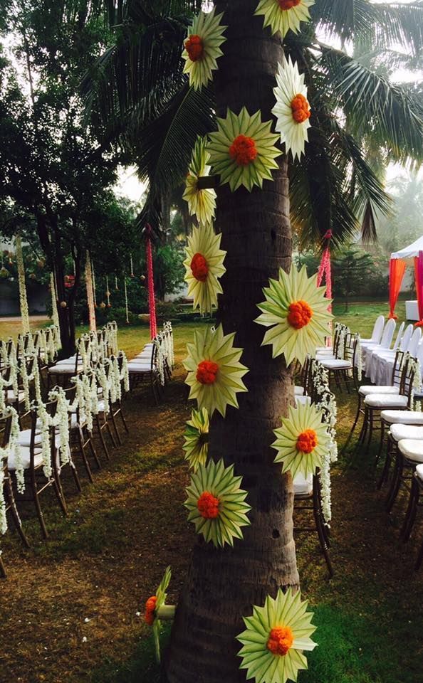 coconut tree decoration ideas