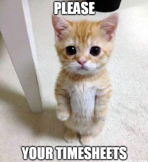 timesheets meme