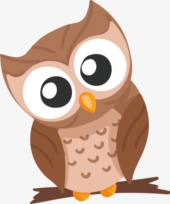 owls clipart