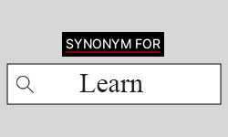 easy to notice synonym