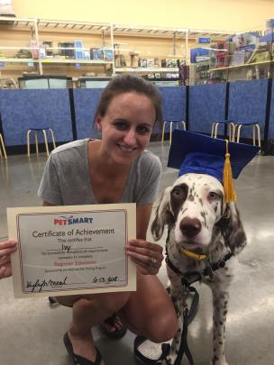 dog training at pet smart