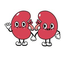 kidney cartoon images