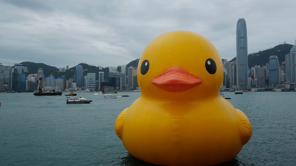 rubber duck in leonardtown md