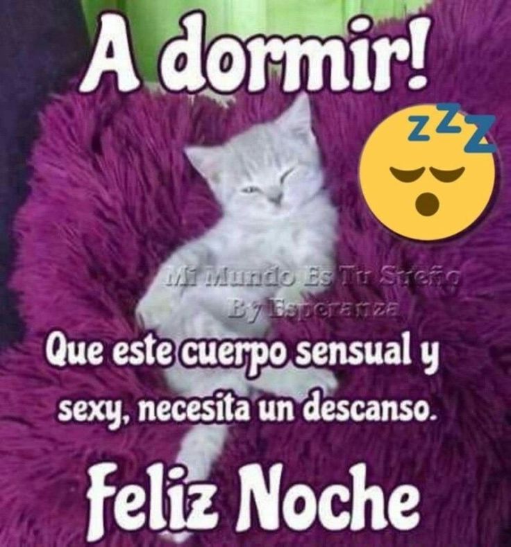 imagenes de buenas noches chistosas para whatsapp