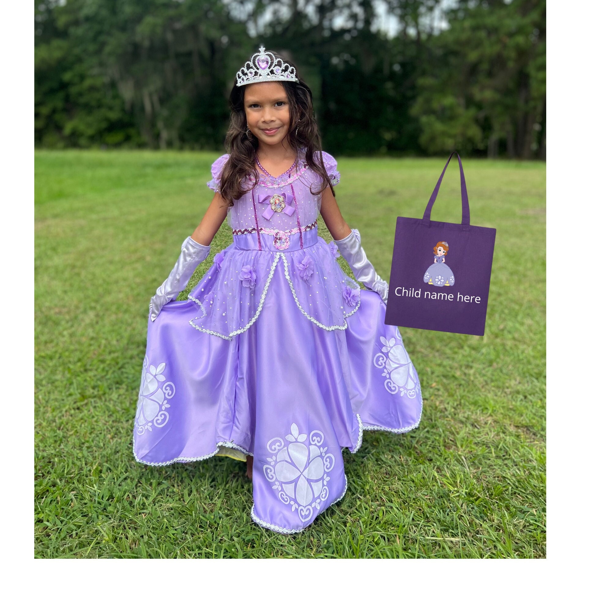 sofia the 1st dress