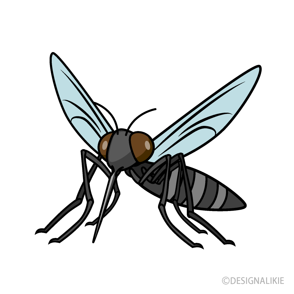 mosquito clipart