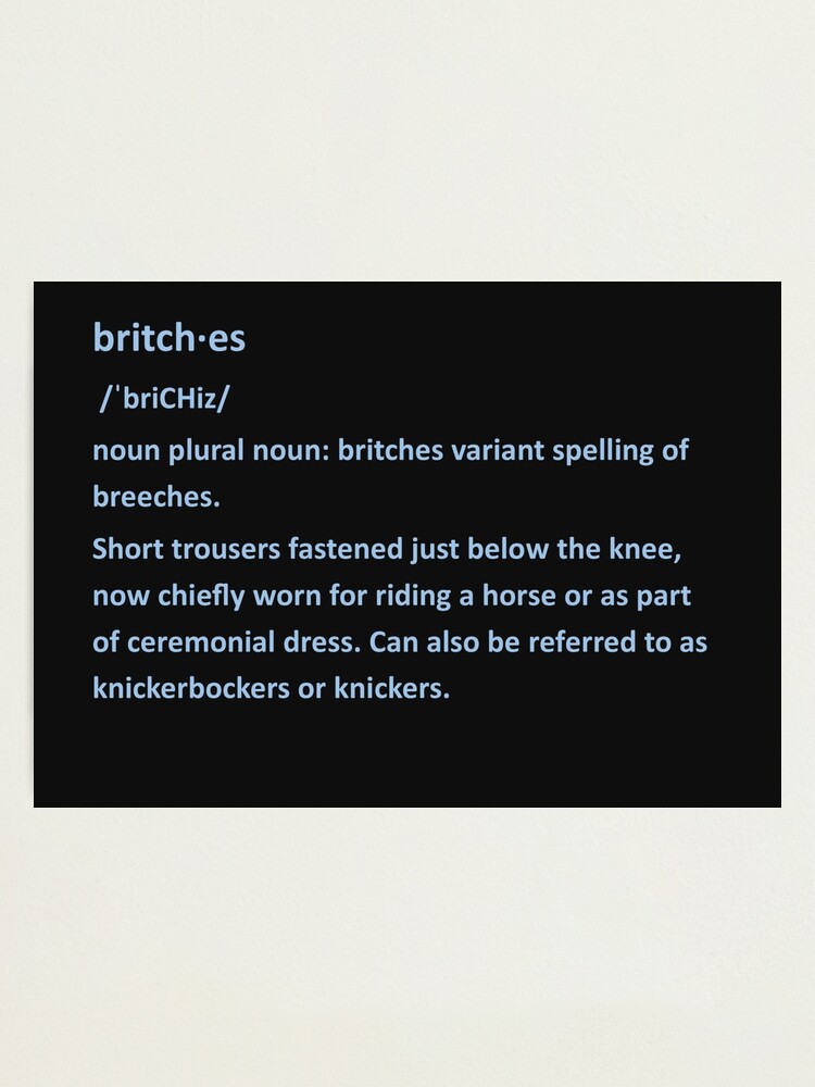 britches definition