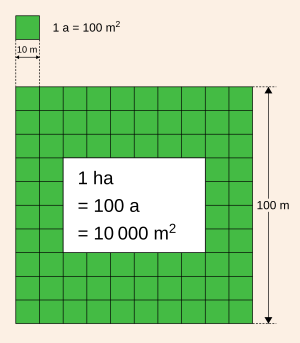 1 hectare in meters