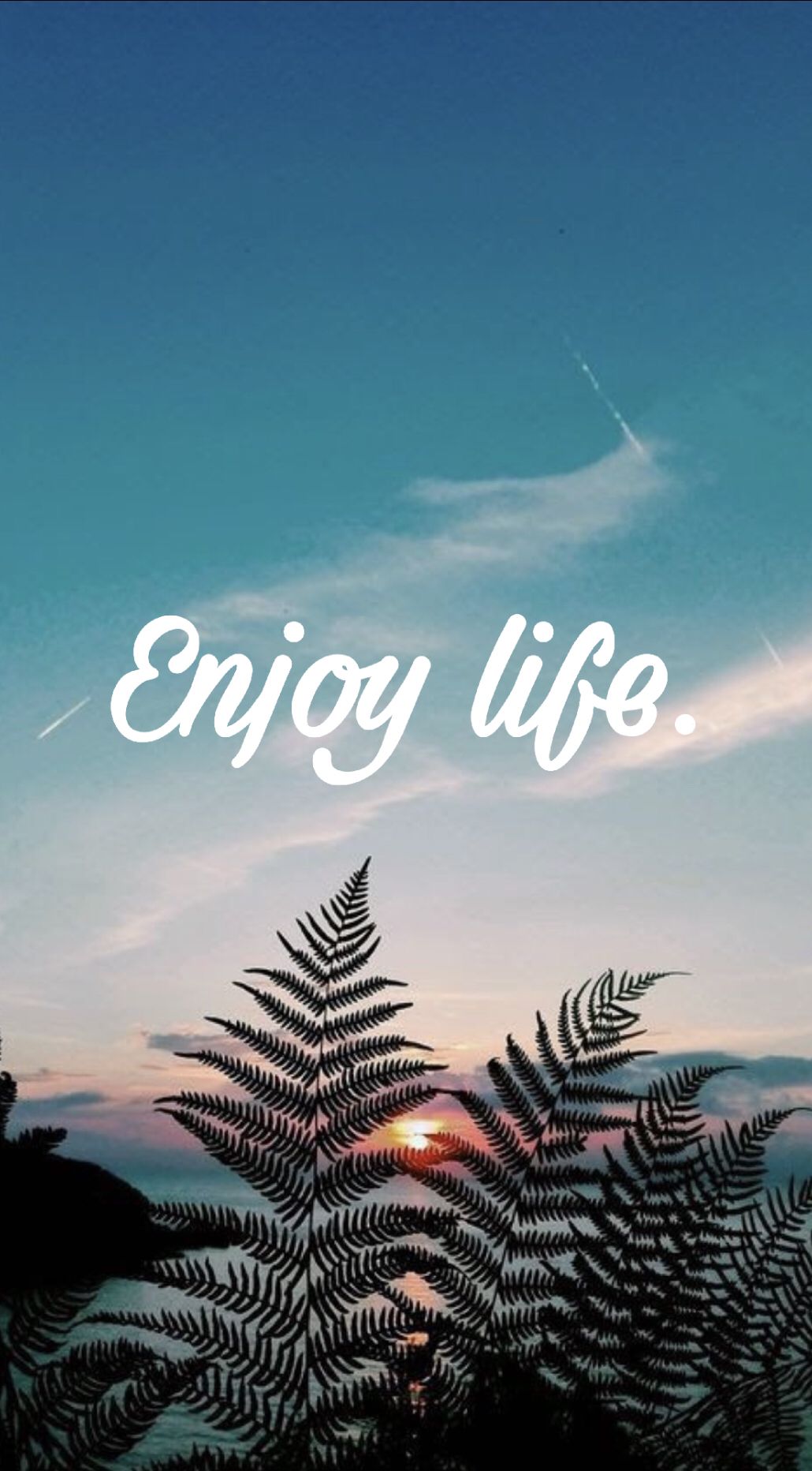 enjoy life wallpaper