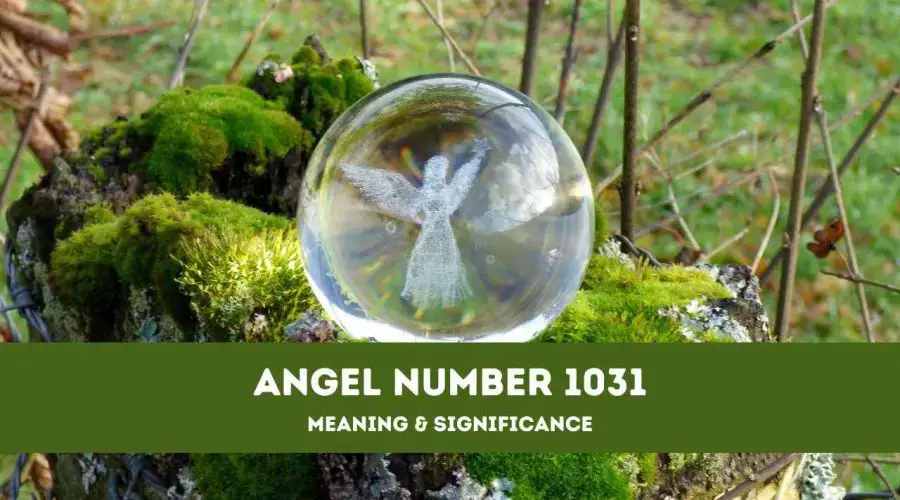 1031 angel number