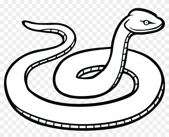 snake clipart images