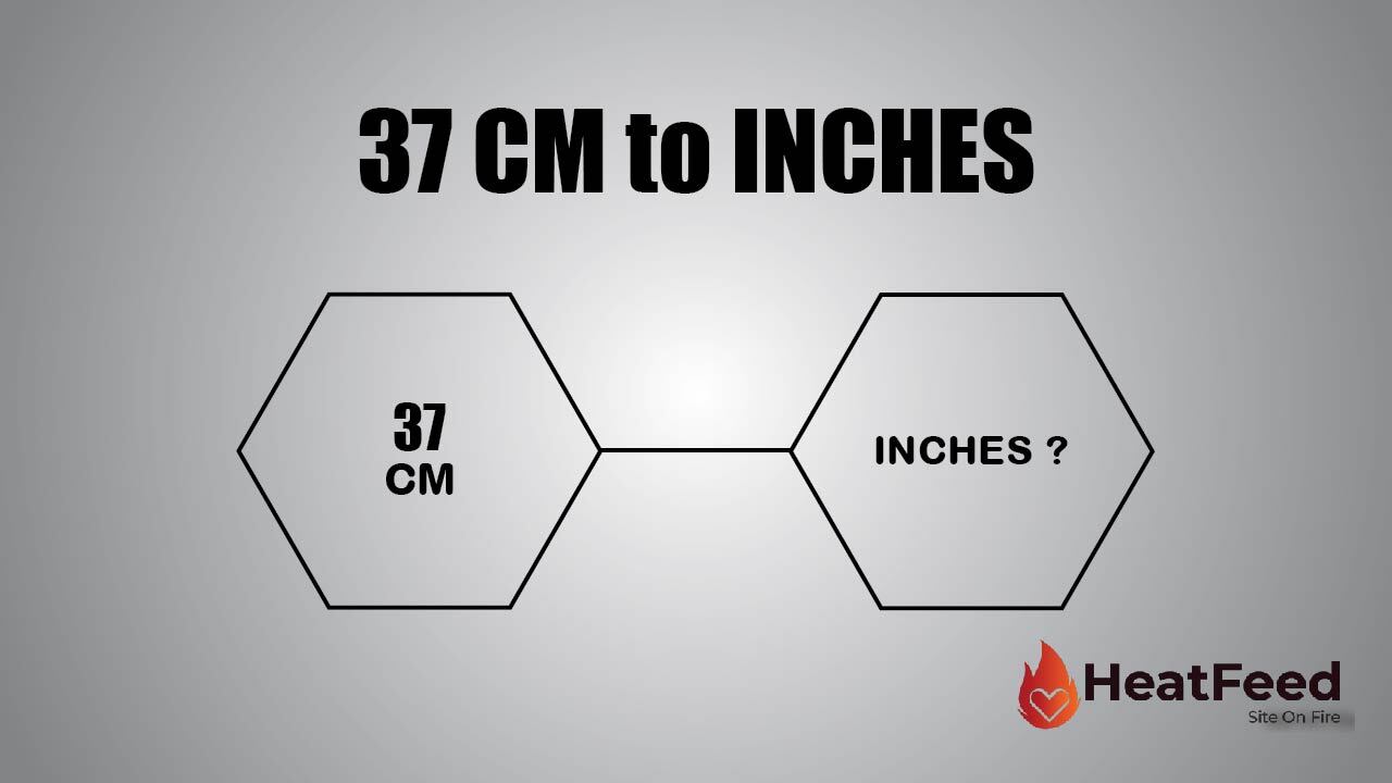 37cm in inches