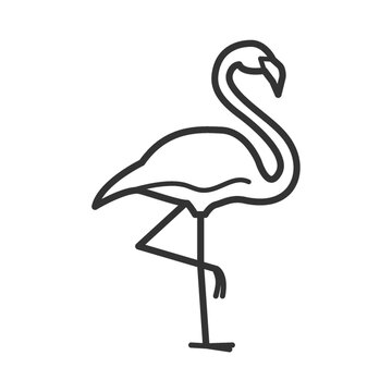 flamingo outline