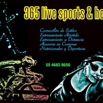 365live sport