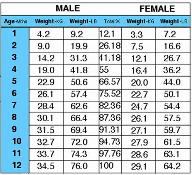 malinois weight chart