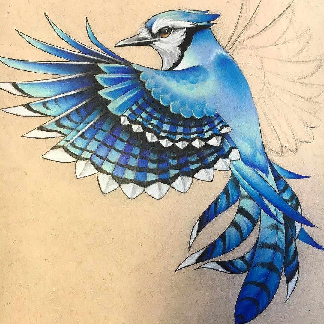 blue jay tattoo ideas