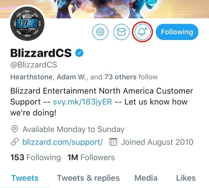 blizzardcs