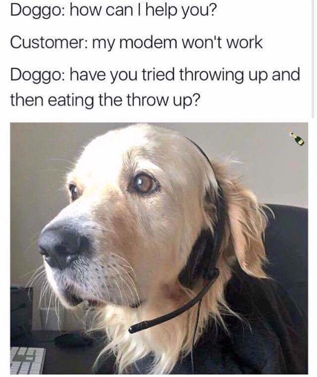 doggo meme