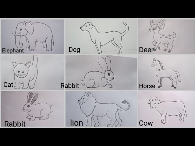 mammals drawing easy