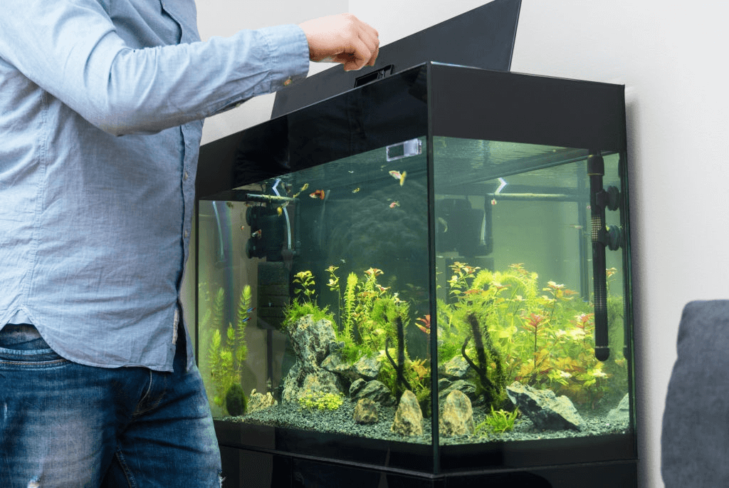 acrilic fish tank