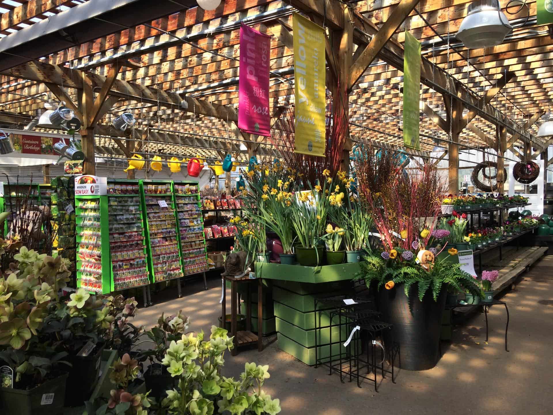 nurseries in etobicoke