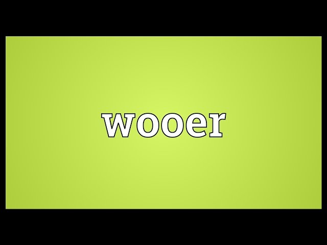 wooer definition