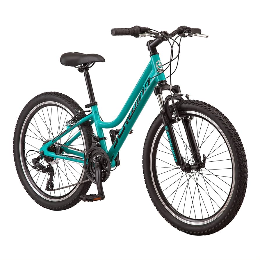 schwinn bike teal