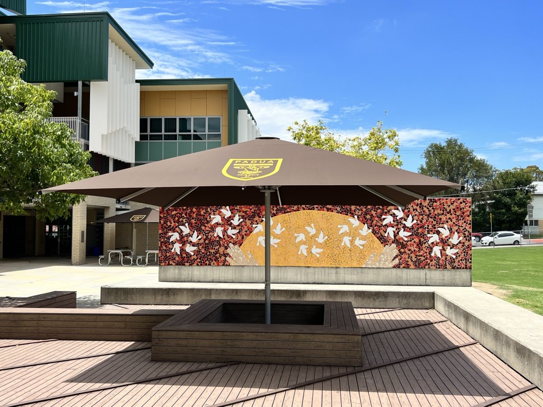 outdoor umbrellas brisbane