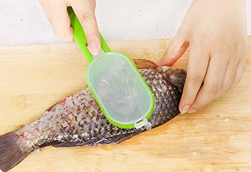 fish scraper