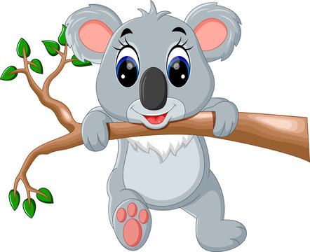 koala bear cartoon