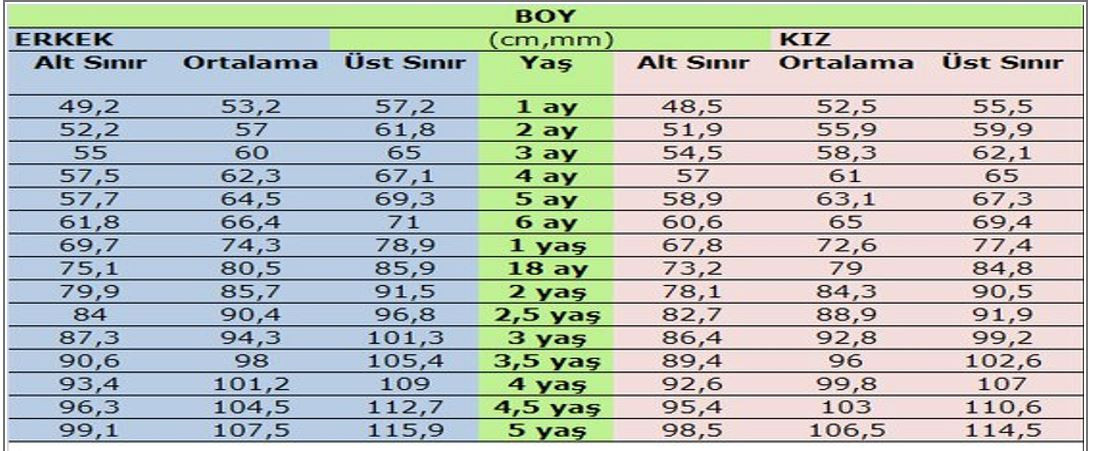 16 aylık bebek kilo ve boy