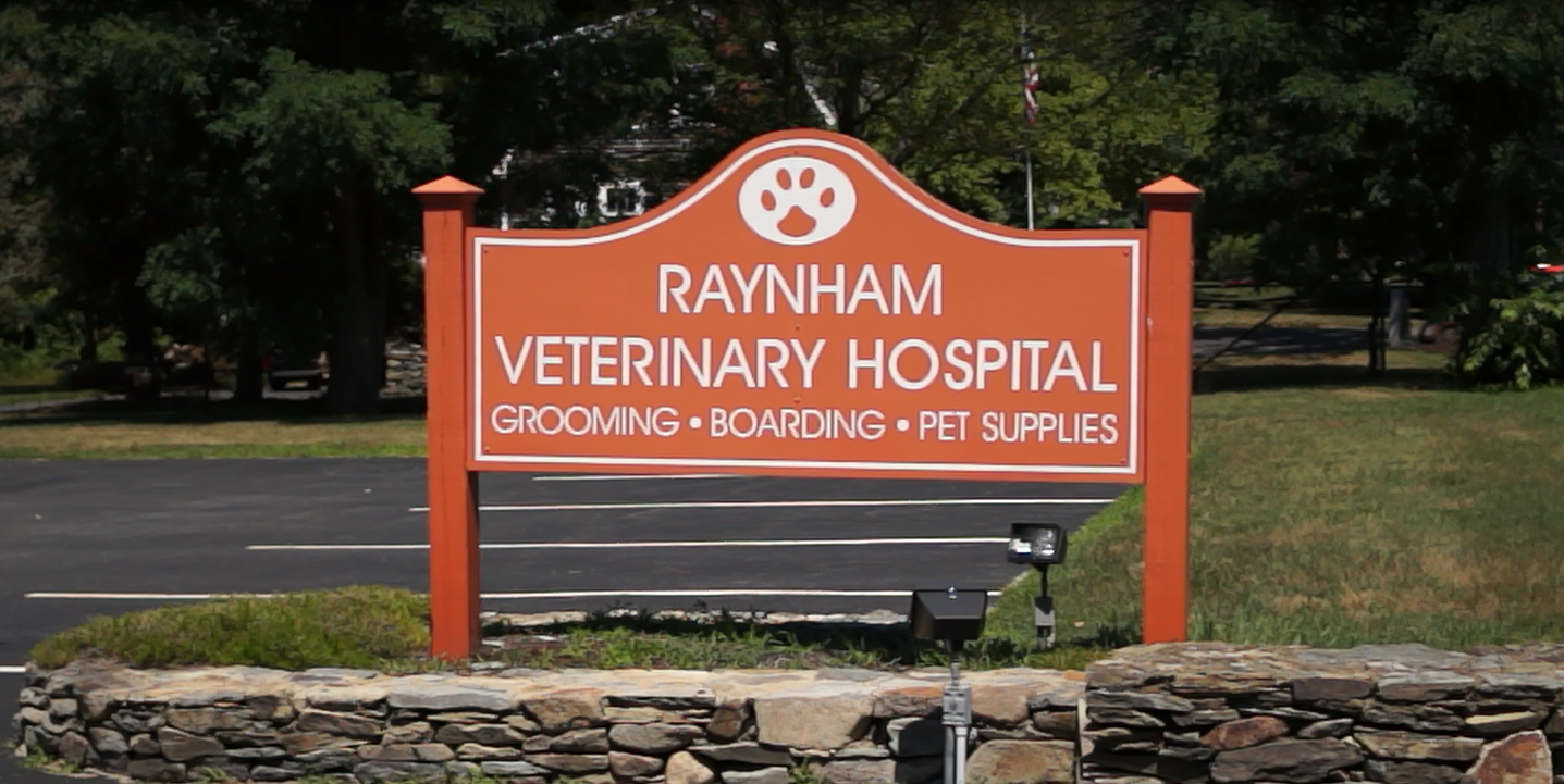 raynham veterinary hospital