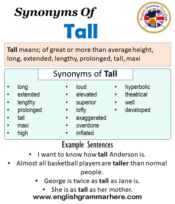 synonyms of taller