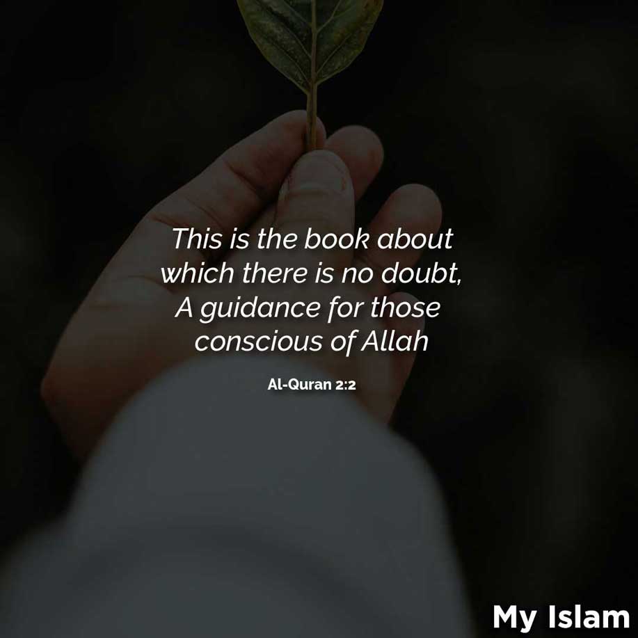 nice quotes from quran