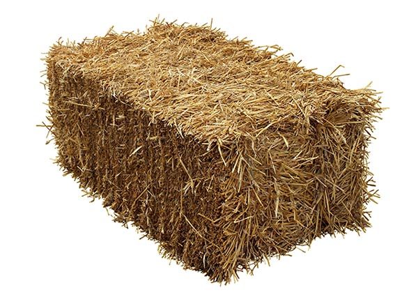 straw bales for sale