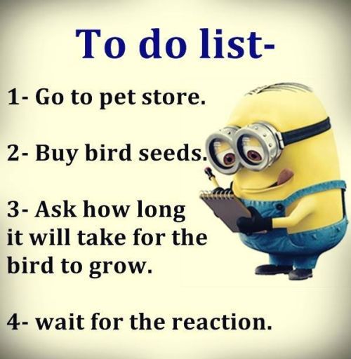 funniest minion quotes