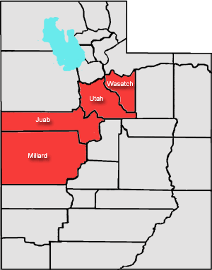 utah fourth district court docket