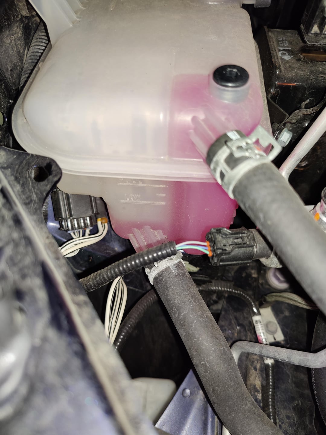 toyota corolla antifreeze