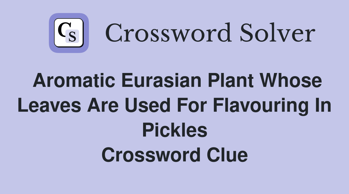 salad plant crossword clue